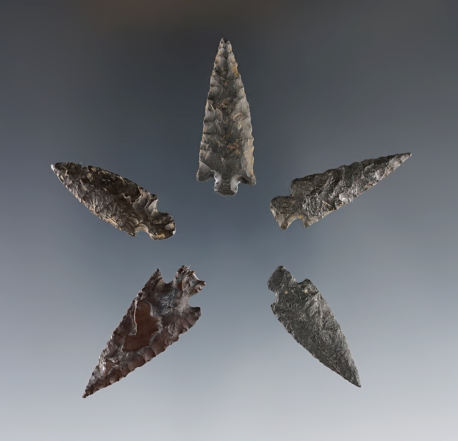 Set of 5 assorted Columbia River Points, largest is 1 3/8". Ex. Gene Favell collection. 