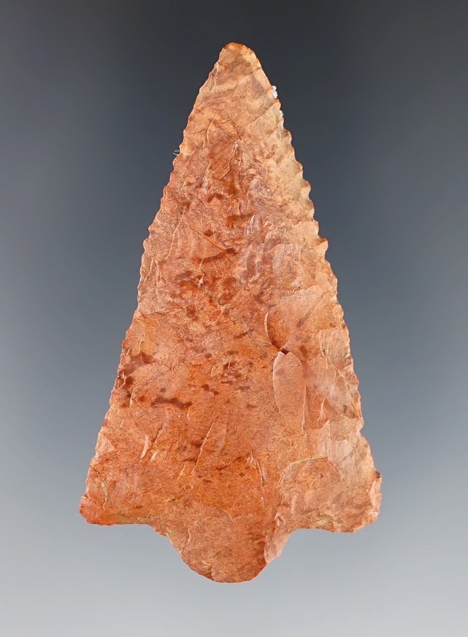 2 3/8" Hernando found in Florida. Nice edge work with fine serrations.