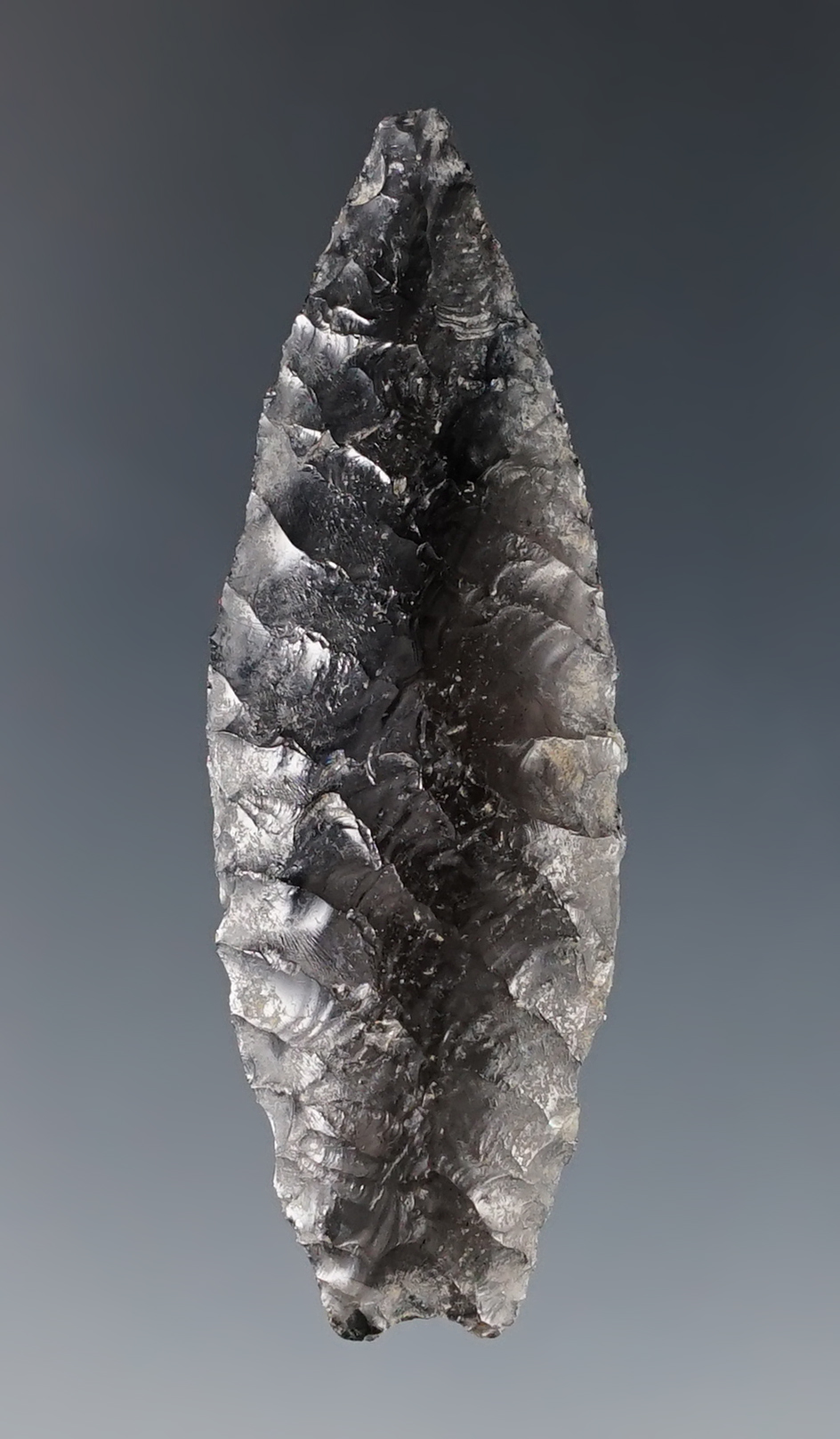 Small 2 1/8" Humboldt Concave Base made from obsidian. Oregon. Ex. C.L. Pugh Museum.