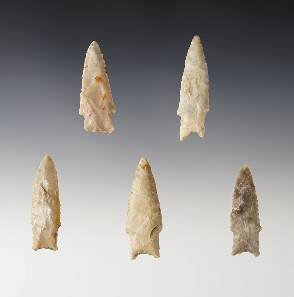 Set of 5 nicely made Texas Darl Points. The largest is 1 13/16".