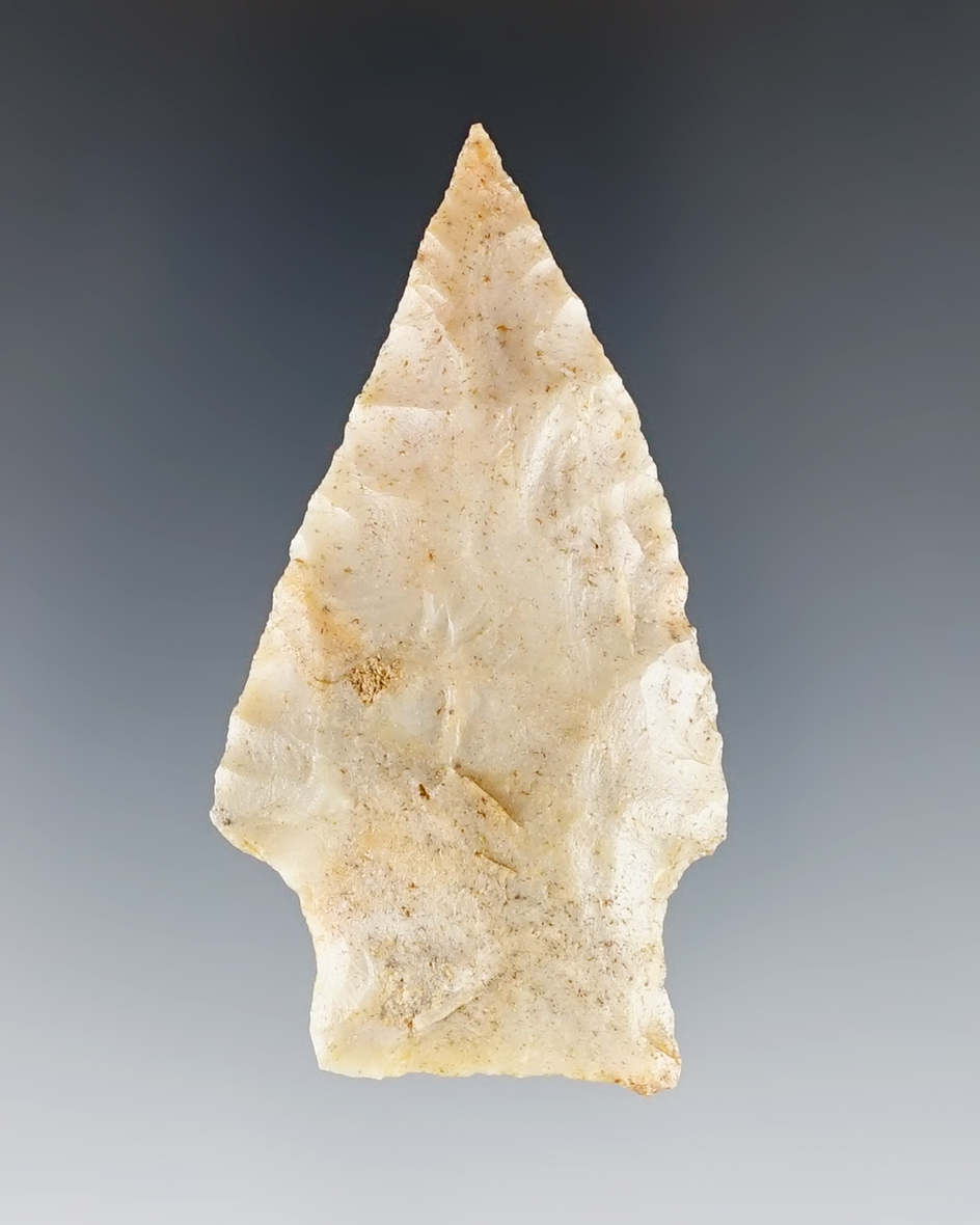 Nice 2 1/4" Stemmed Knife found in Florida.