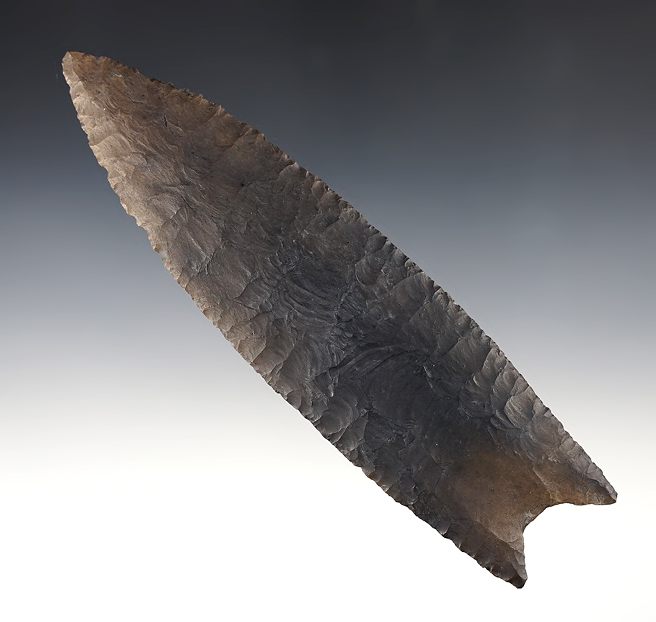 Huge 7 7/16" REPLICA CAST of the famous "Robinson" Clovis from Hickman Co., Kentucky. 