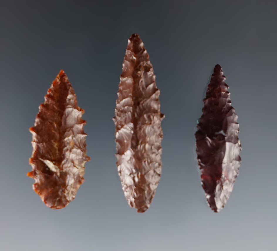 Set of 3 Coquill Leaf Points found near the Columbia River. Pictured "Overstreet", 15th Edition.