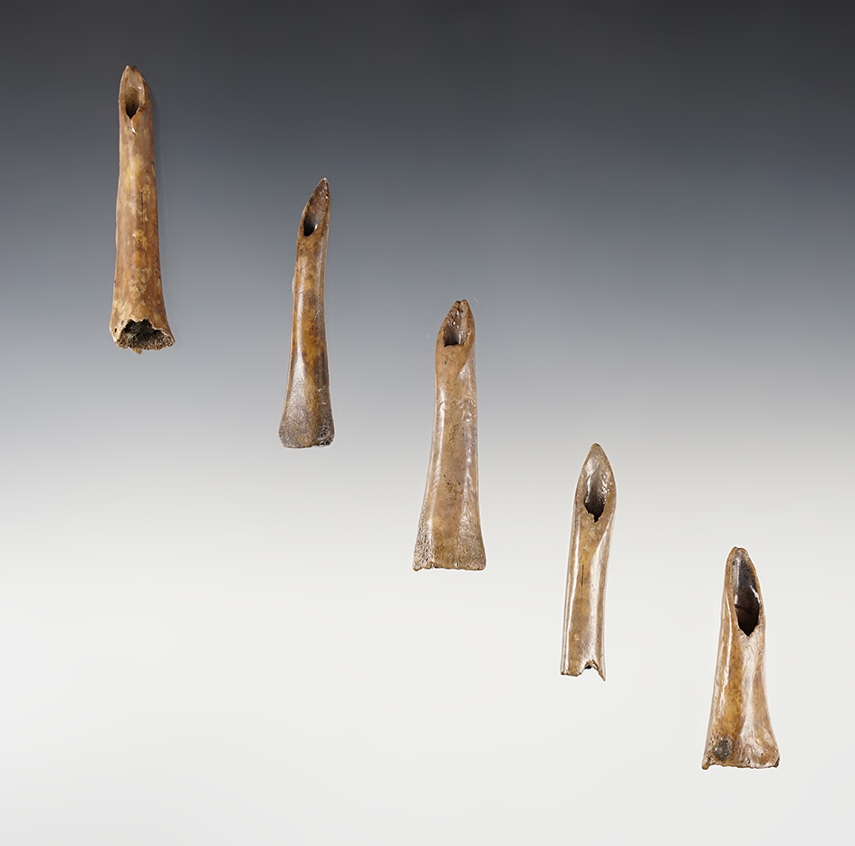 Set of 5 Bone Projectile Points - Bayou Jasmine Site in southeast Louisiana. Largest is 2 7/16".