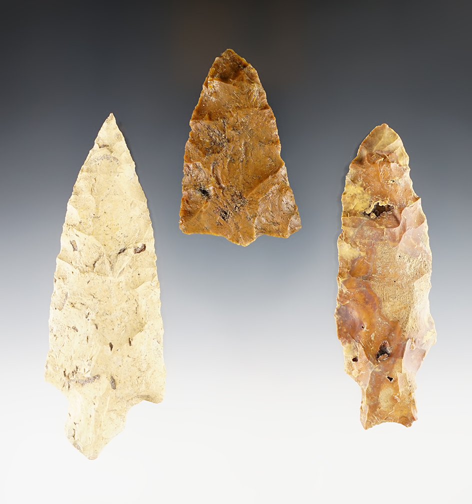 Set of 3 assorted Florida Points. The largest is 4 1/4".
