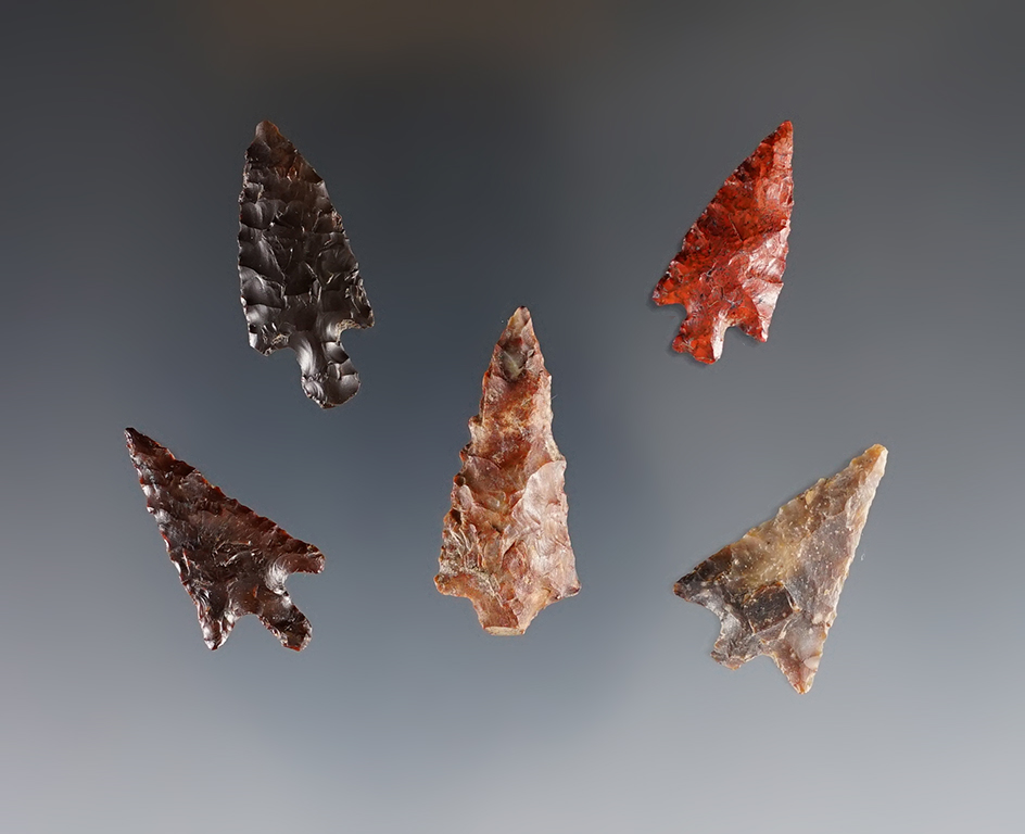 Set of 5 well made Columbia River Points. Ex. Frank Wilke. The largest is 1 1/4".