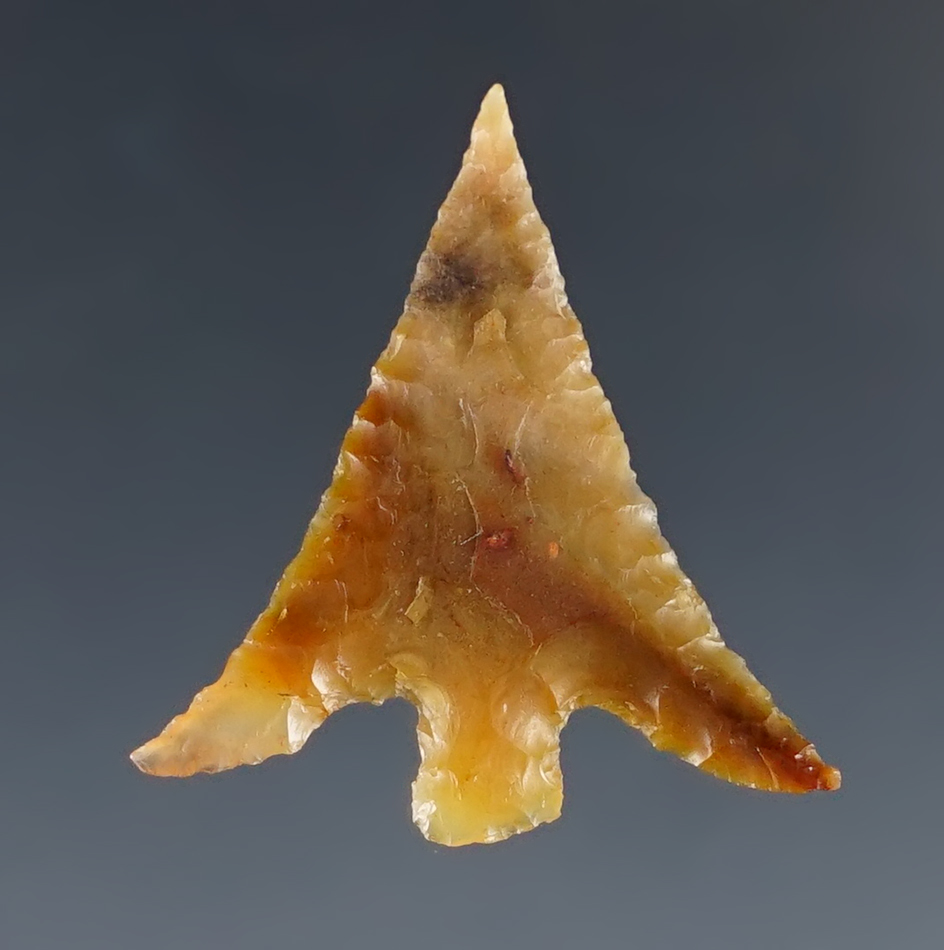 Classic style 15/16" Columbia Plateau with beautiful long swept ears. Ex. Gene Favell Museum.