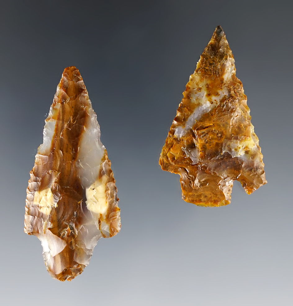 Beautiful material on this pair of Columbia River Points, largest is 2 1/8". Ex. Gene Favell.