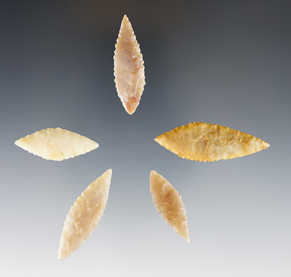 Set of 5 nice African Leaf-Shaped Neolithic Points. The largest is 1 3/4".