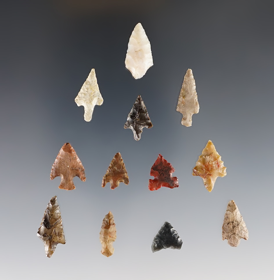 Set of 12 of Columbia River Points. Ex. Frank Wilke. The largest is 13/16".