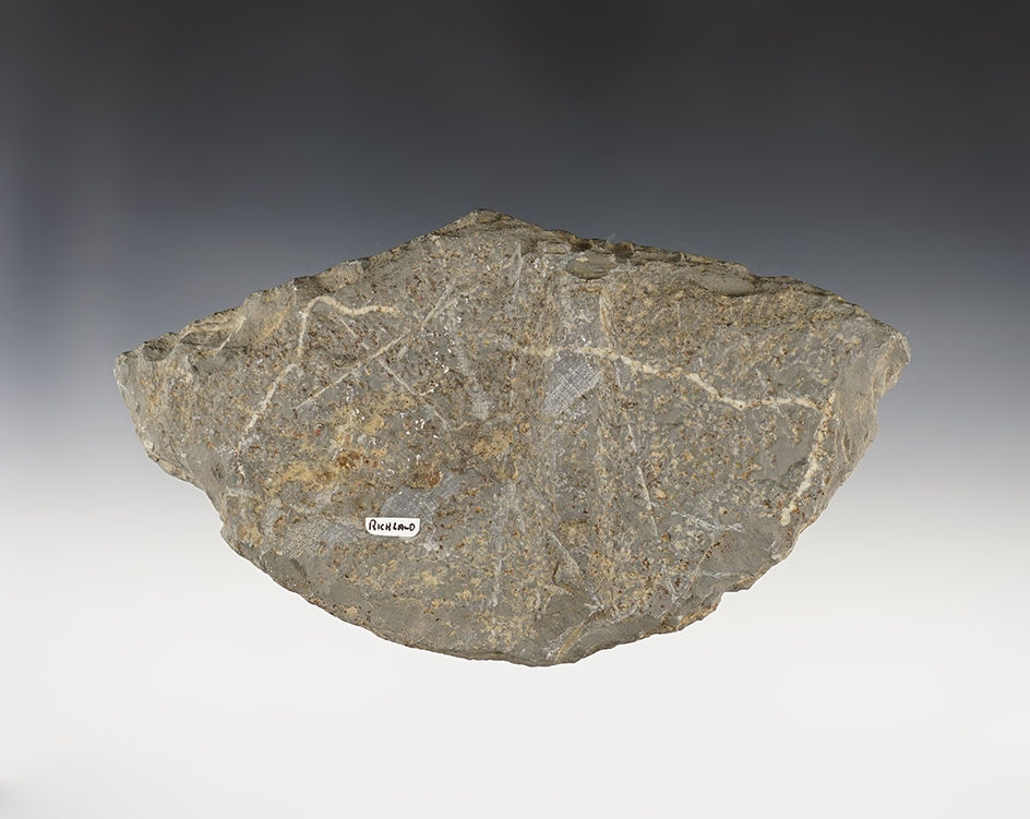 7 7/16" Wing Bannerstone Preform found in Richland Co., Ohio. Ex. Terry Elleman collection.