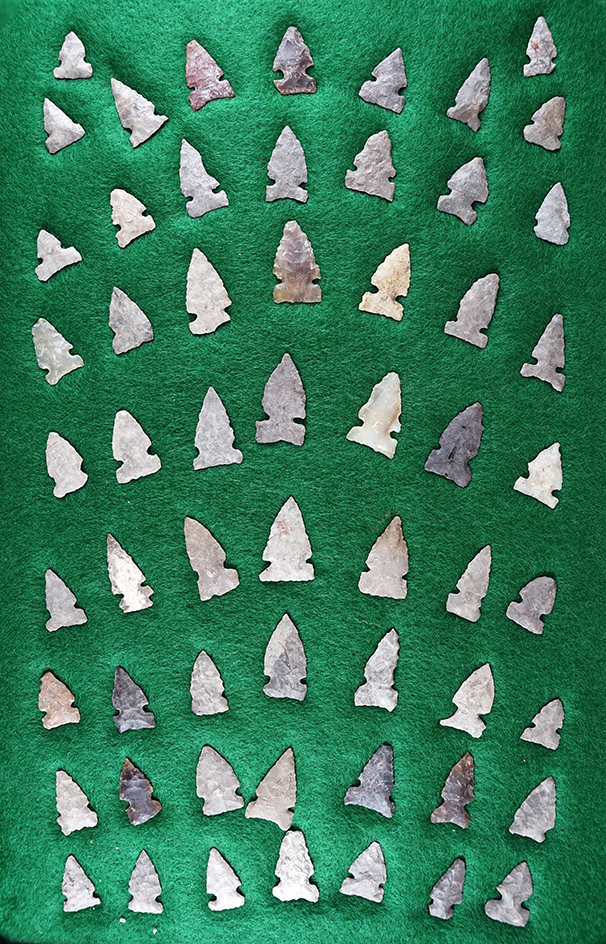 Pictured! Beautiful Cache of approximately 58 Sidenotch arrowheads found in Eastern South Dakota.