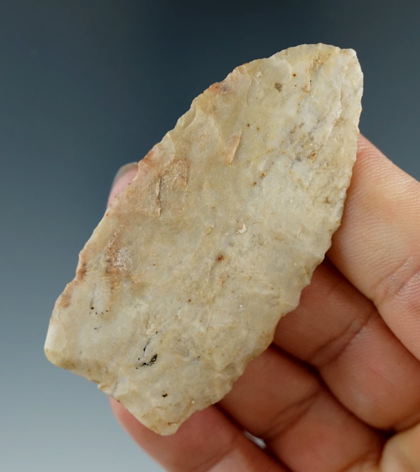 Rare Paleo! 2 9/16" Browns Valley Paleo - nicely ground lower edges -  Brookings Co., SD.