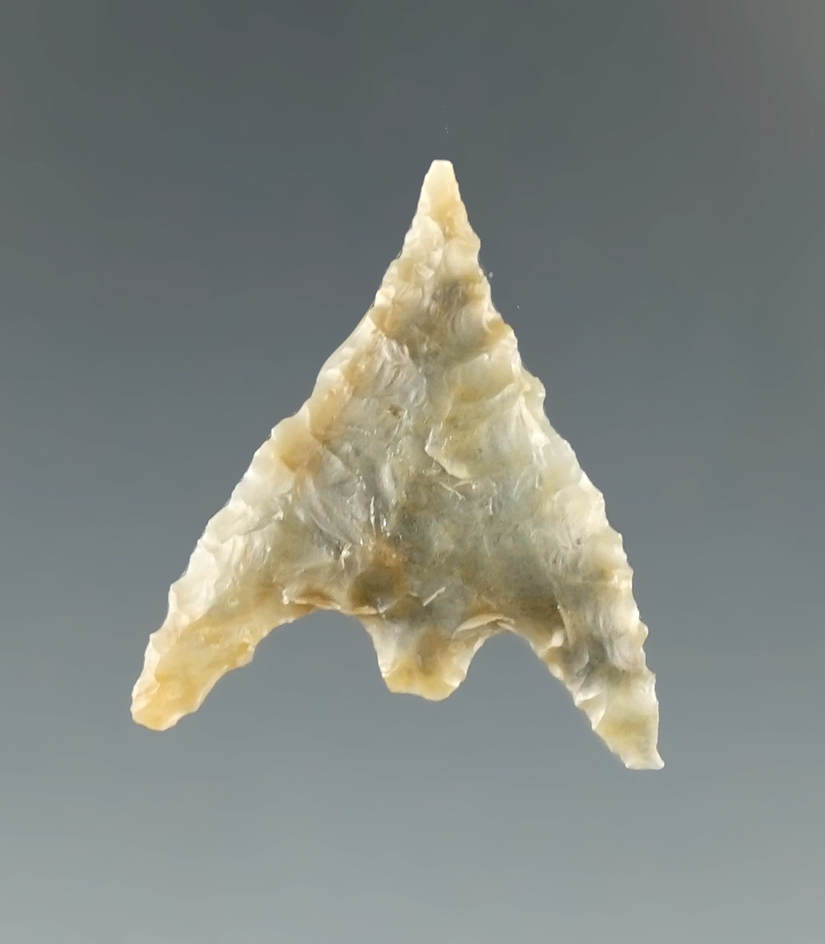 Ex. Museum! 1" Gunther - attractive semi translucent Franciscan chert found in N. California.