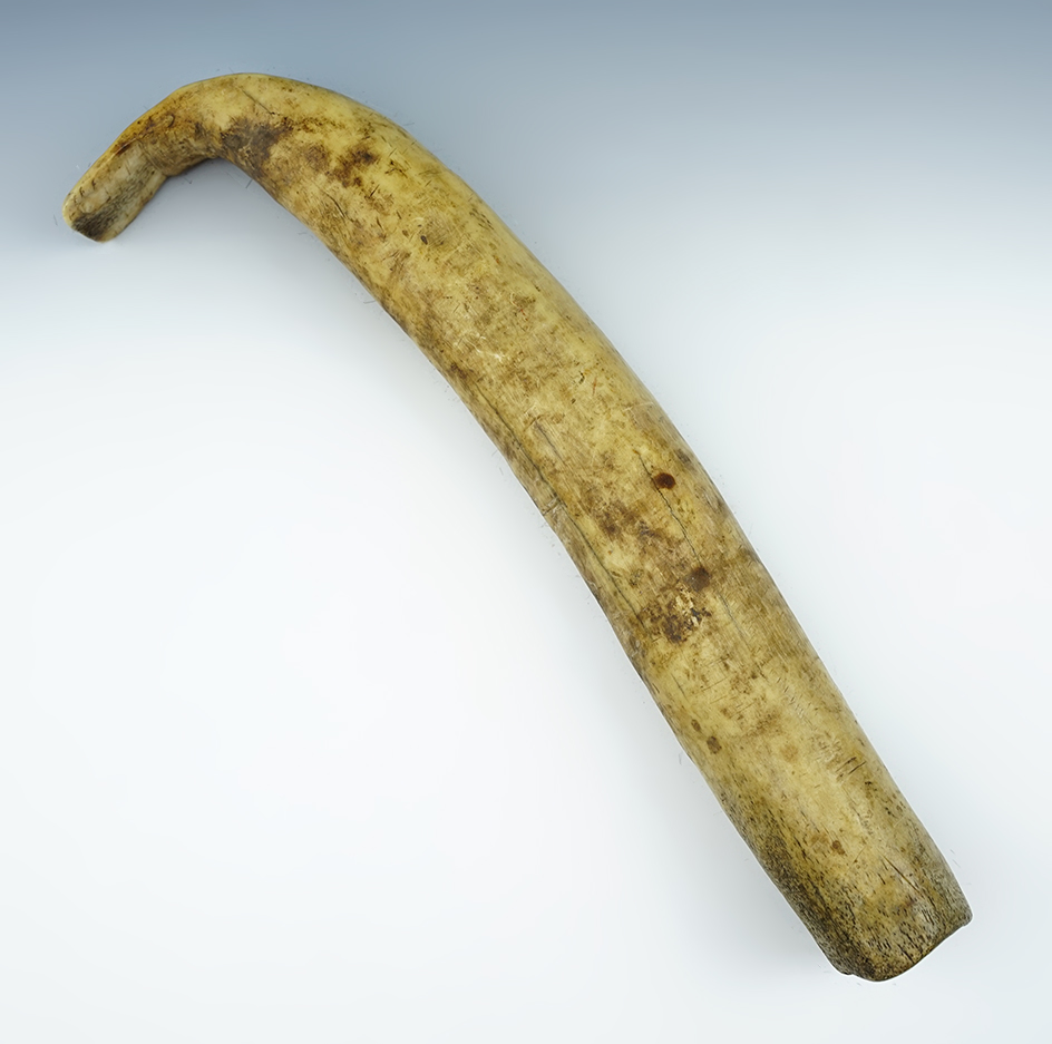 12 3/4" Elk horn scraper found near the Missouri River, North Dakota.