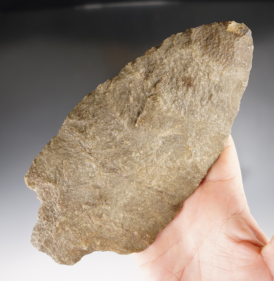 Exceptionally large 6 7/8" x 3 5/16" Quartzite Adena Knife - Coleman farm, Preston Maryland.