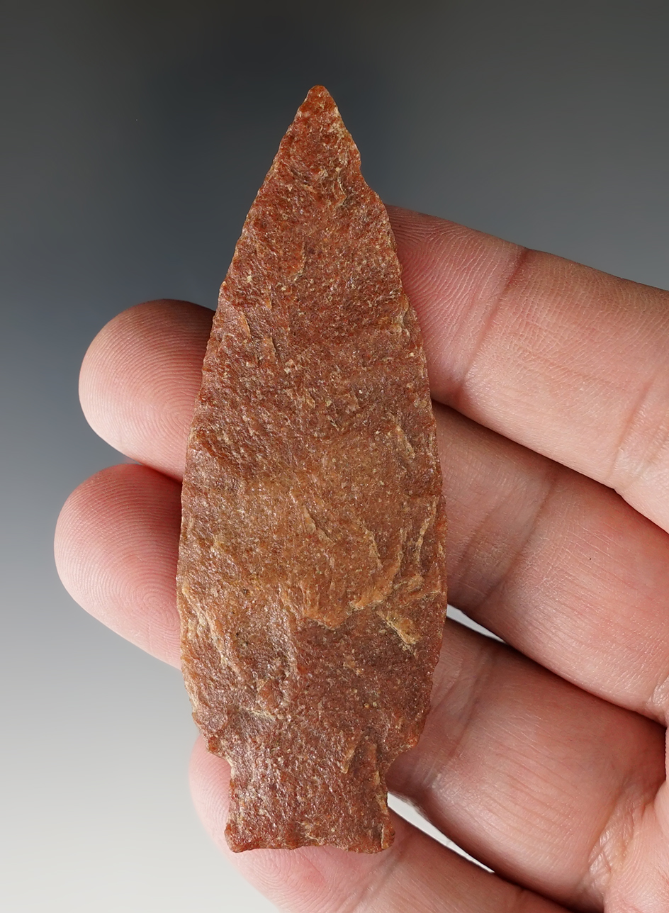 3 3/16" Patuxent type that is thin and very well flaked. Made from beautiful quartzite - Maryland.