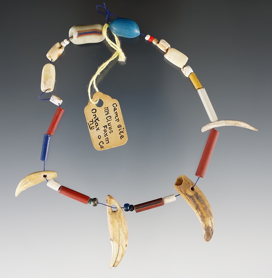 7" Strand of assorted beads and drilled canine teeth found in Ontario Co., New York.