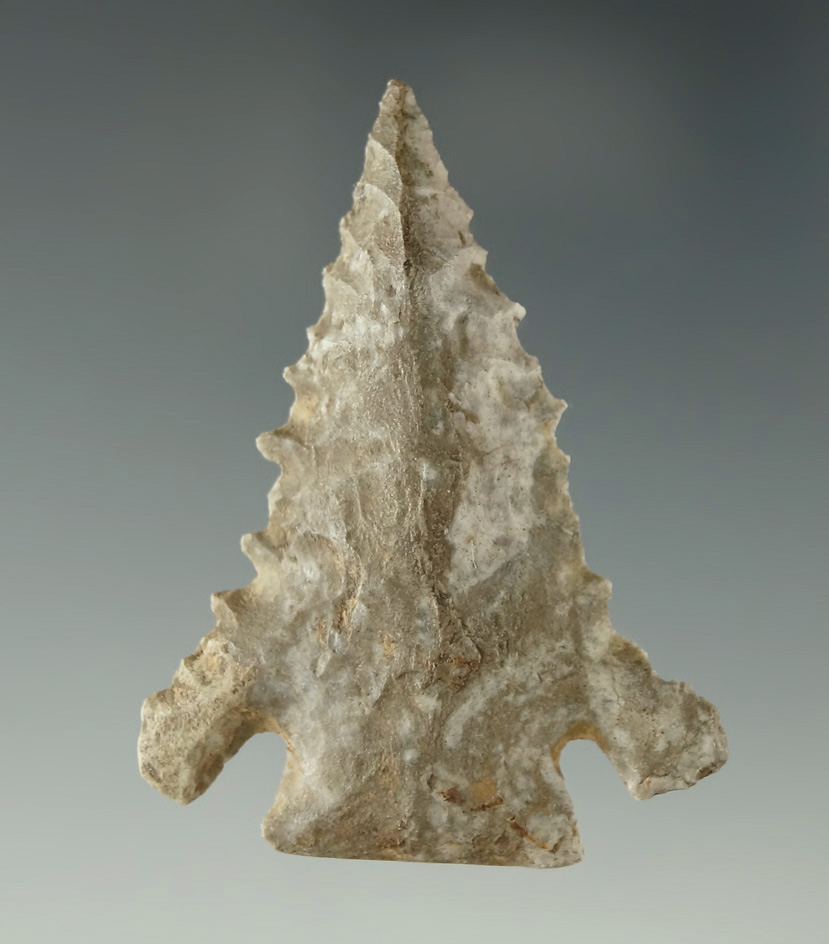 Pcitured! 1 15/16"  serrated Pinetree -Fort Payne chert - Tennessee. Featured in Overstreet 15th.