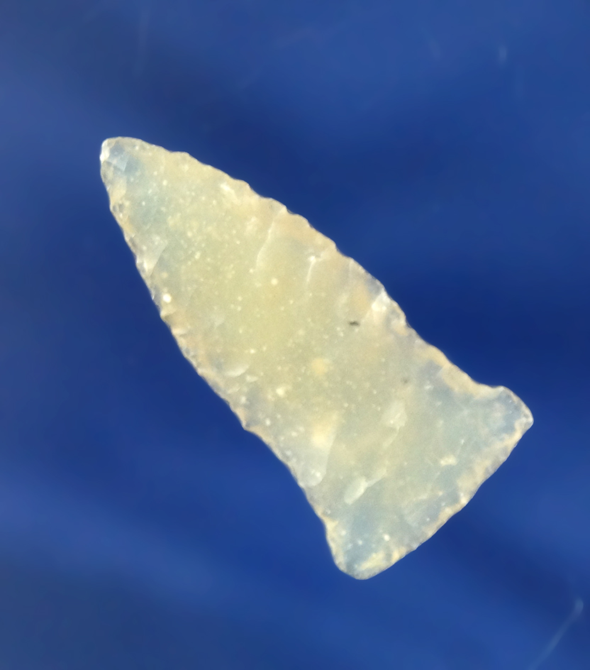 Highly translucent 1 3/16" Early Eared found at the Obie site on the Columbia River, Washington.
