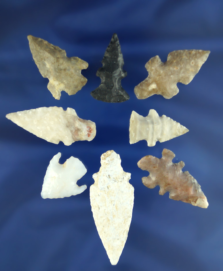 Set of eight assorted Texas and New Mexico Arrowheads, largest is 1 15/16".