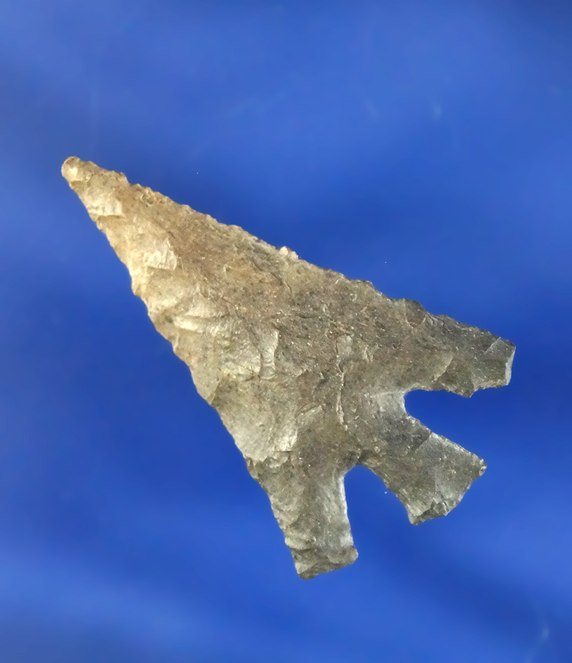 1 5/16" Eastgate found near the Columbia River, Washington. Comes with a Bennett COA.