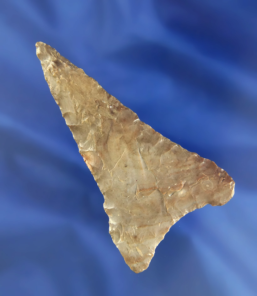 3 5/16" Columbia Mule Ear found near the Columbia River, Washington.