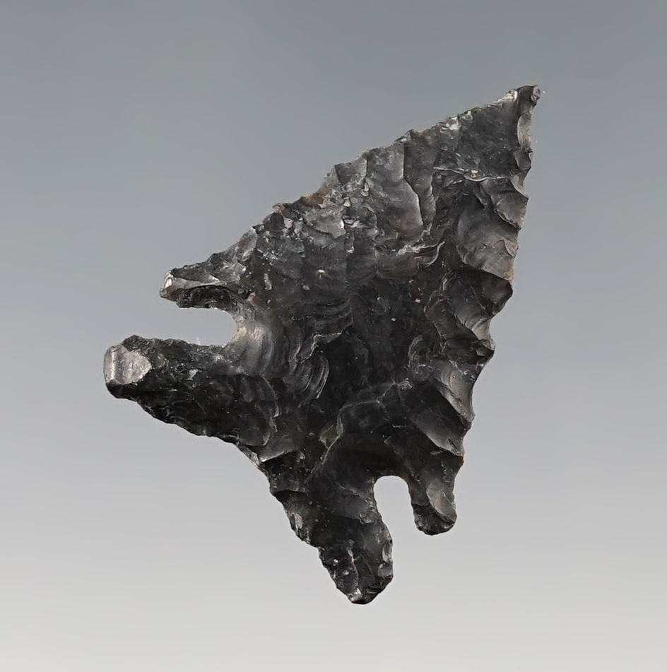 Well made 1 3/8" Elko found by Hank Cassidy, Lake Co., Oregon in the 1950's.