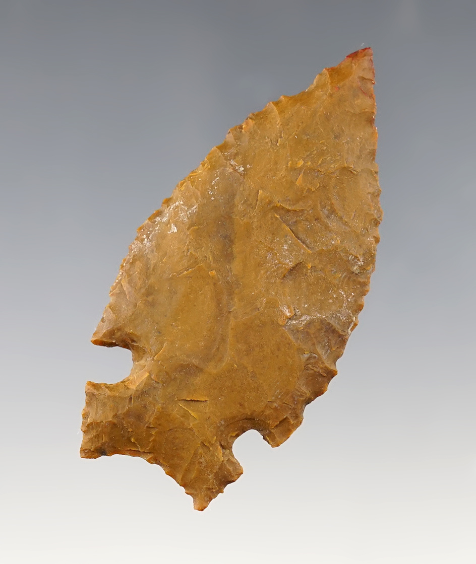 2 1/2" beautifully flaked Sidenotch. Found close to Tulelake, California in the 1950's.