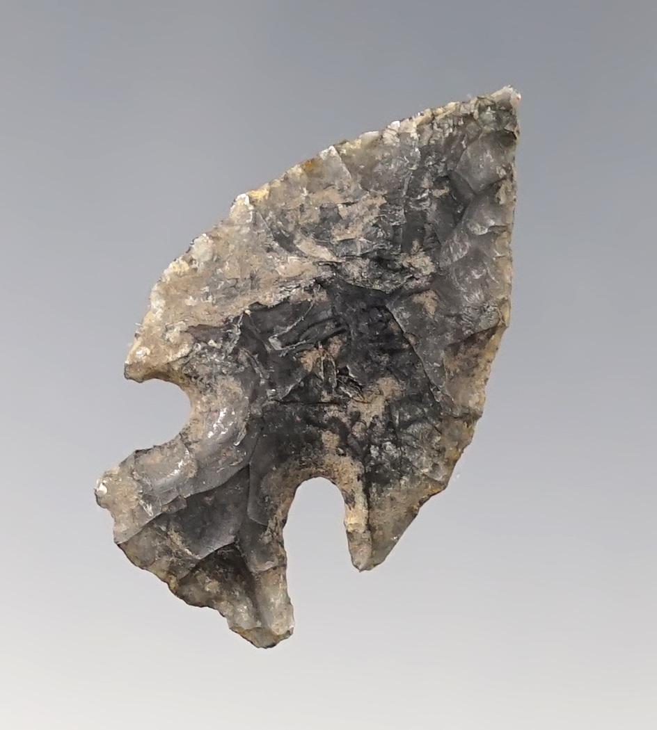 1 7/16" patinated Cornernotch found close to Tulelake, California in the 1950's by farm workers.