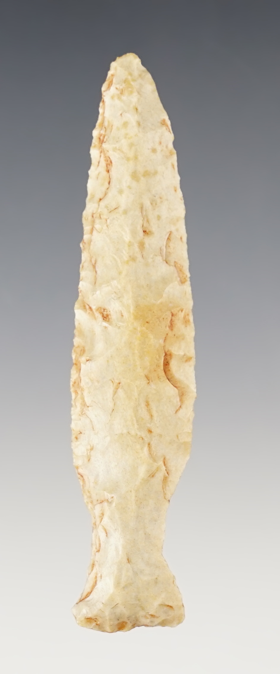 3 1/8" Pandale with nice edgework and heavy patina. Found in Green Co., Texas. Rogers COA.