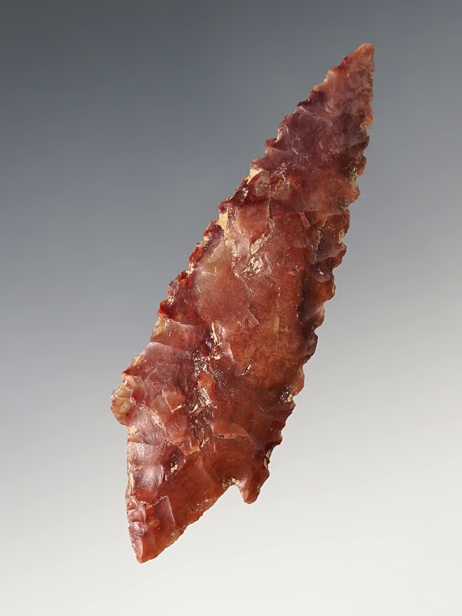 Large, highly serrated 3 1/4" Neolithic Arrowhead - Sahara region of Africa.