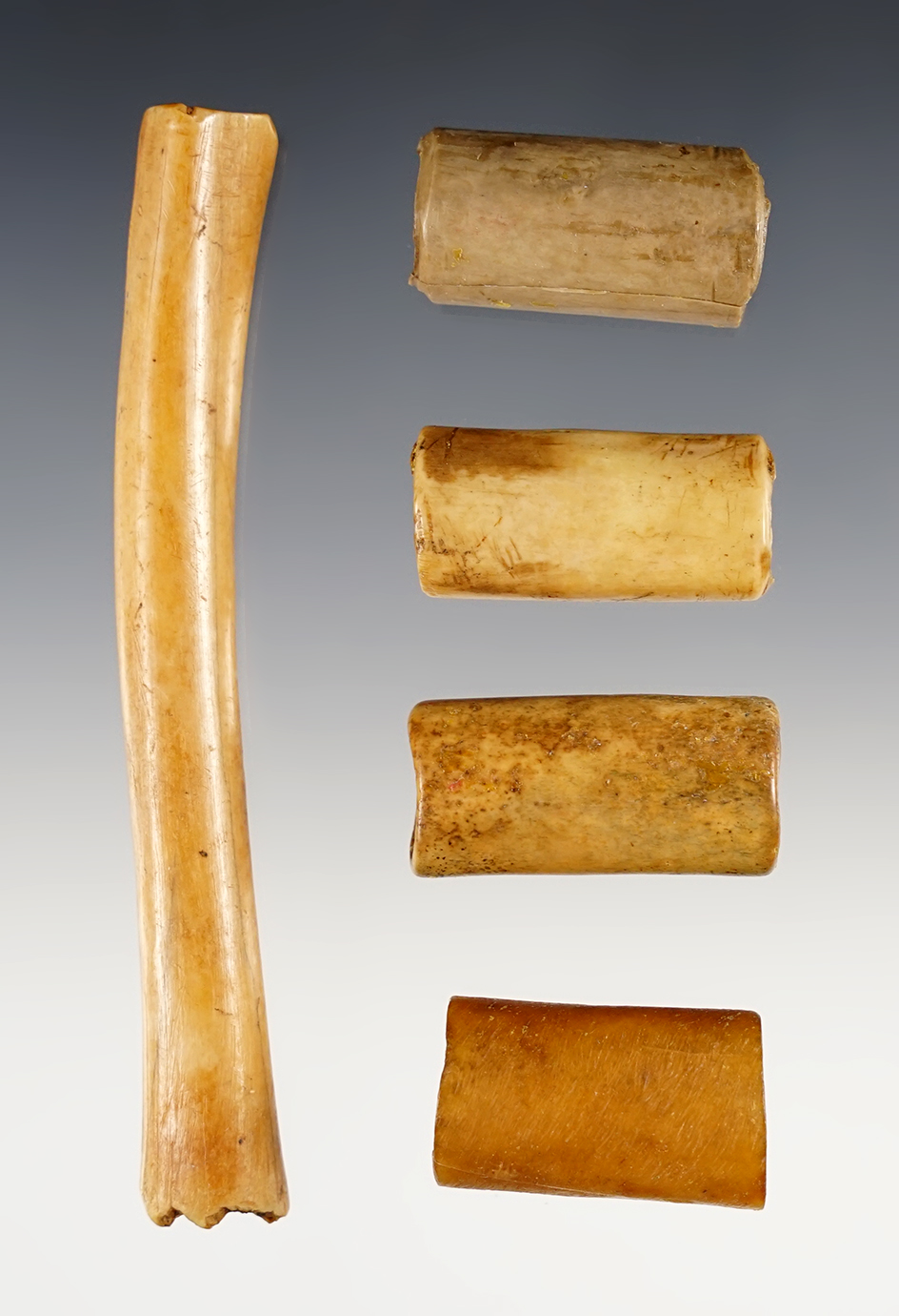 Set of 5 well patinated Bone Beads found in Calusa Co., California. The largest is 4".
