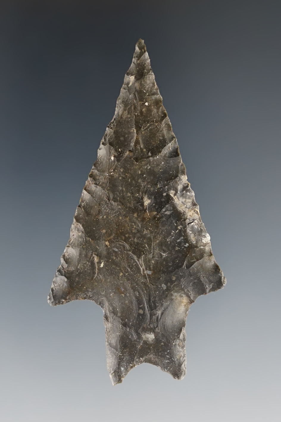 Ex. Museum! Nicely made 2 1/2" Texas Pedernales.