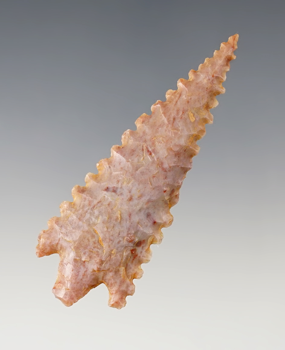 Large, highly serrated 2 3/4" Neolithic Arrowhead - northern Sahara region of Africa.