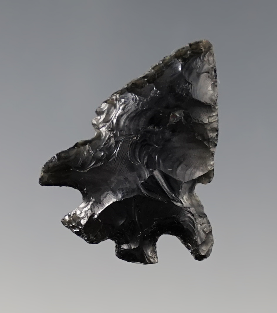 Nice 1 1/4" Obsidian Point found close to Tulelake, California in the 1950's. Ex. Bill Ransom.
