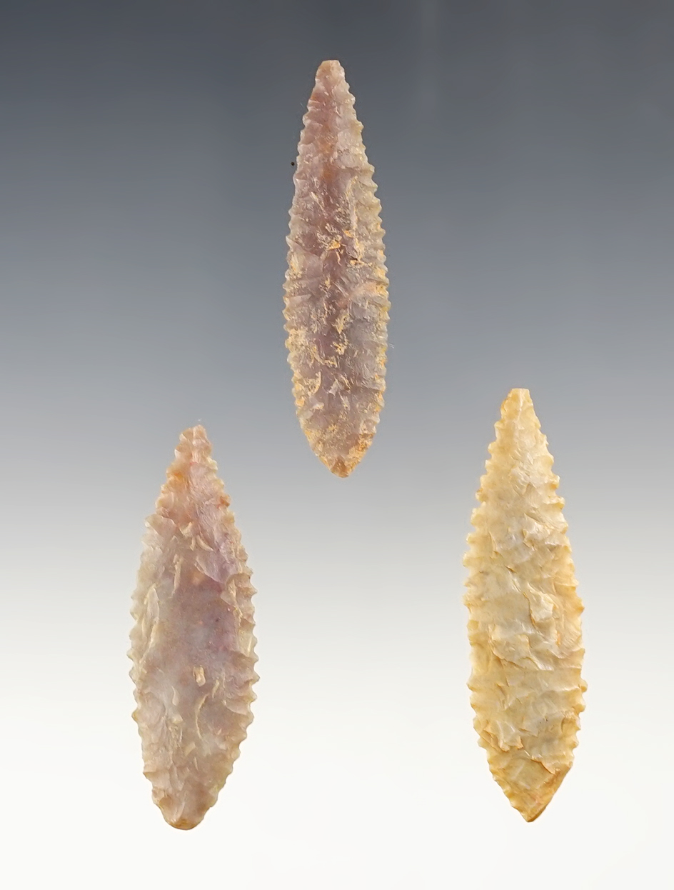 Set of 3 well made African Neolithic Willow Leaf points. The largest is 2 1/8".