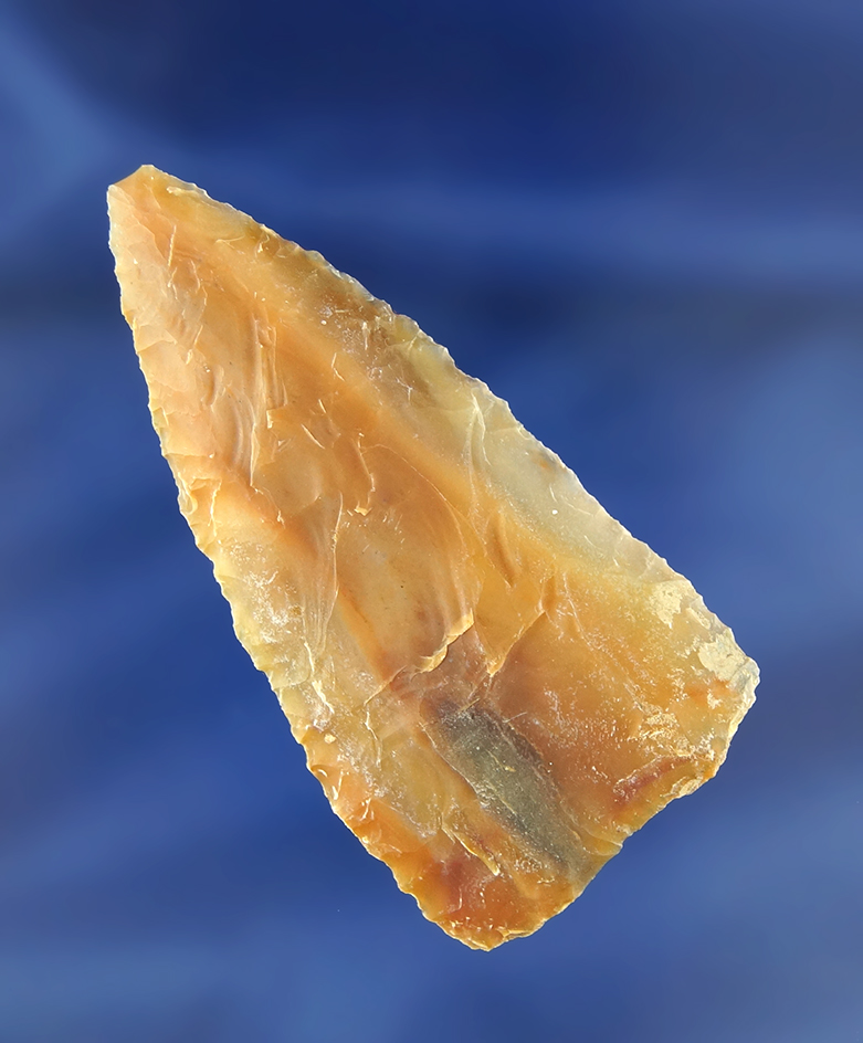 Exceptional material color on this 2 9/16" Agatized Wood Blade  found in Nevada.