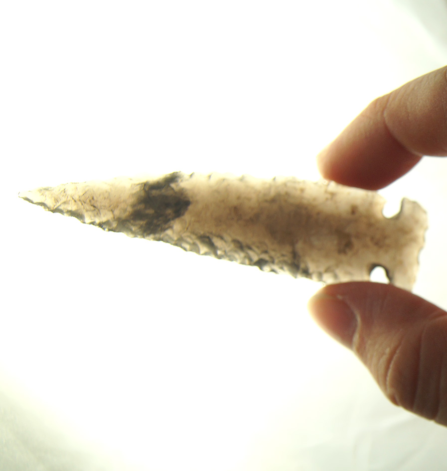 Exceptional flaking and style  2 15/16" translucent Obsidian Northern Side Notch California. COA.