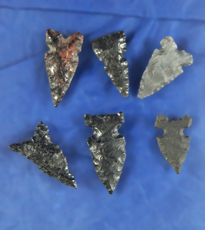 Set of six Sidenotch Arrowheads found in Nevada. Largest is 15/16". One is Mahogany  Obsidian.