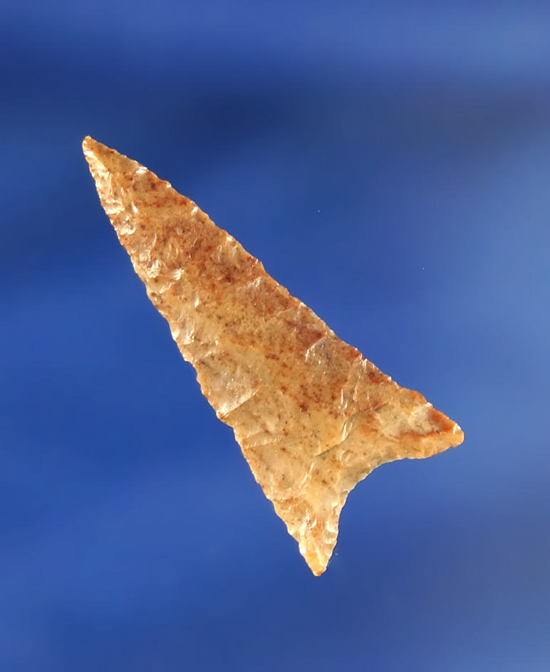1 1/4" Triangular arrowhead found near the Columbia River, Washington.