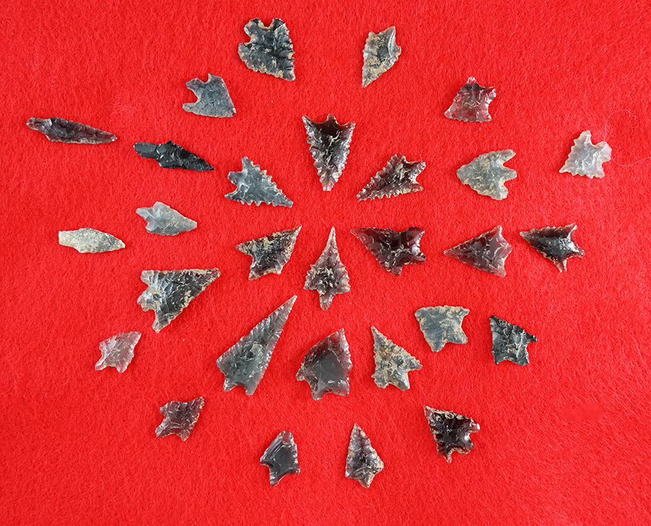 Set of 18 assorted bird points collected near Mount Shasta, California. Largest is 1 3/16".