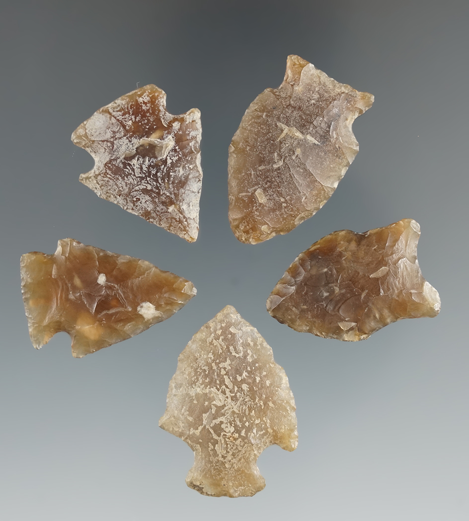 Set of five Knife River Flint arrowheads in very nice condition found by Harlan Olson in South Dakot