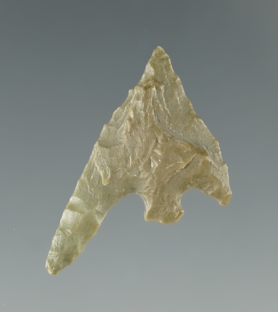 1 1/8" Gunther with a very long swept wing made from Franciscan chert found in N. California.