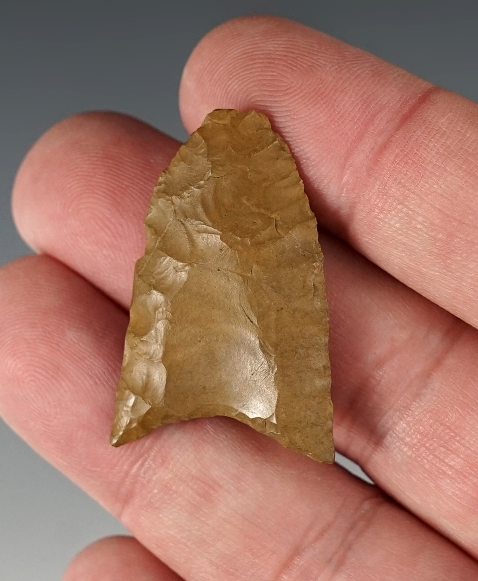 Rare! 1 1/2" Paleo fluted Clovis made from Pennsylvania Jasper found in Maryland.