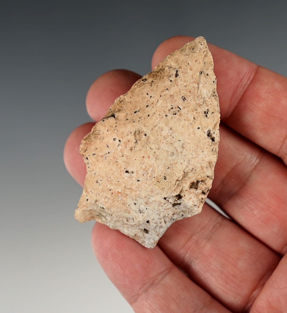 2 3/8" Wacissa found in Florida.