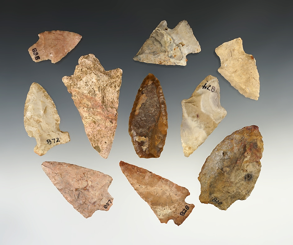 Set of 10 points and knives found in Florida, largest is 3". Includes original collectors cards from