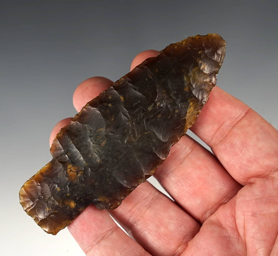 Rare! Superb 4" Alberta Point found Southeast of Fish Lake, Deuel Co., South Dakota. Pictured!