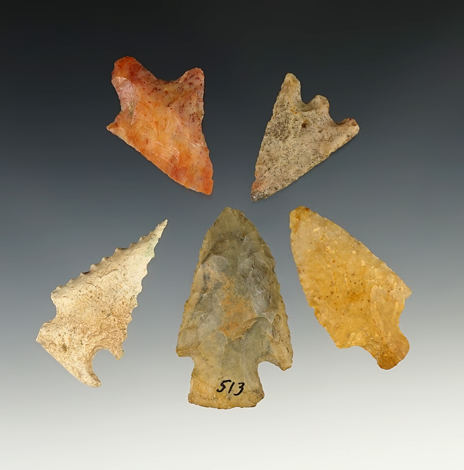 Set of 5 points and knives found in Florida, largest is 2 1/4". Includes original collectors cards