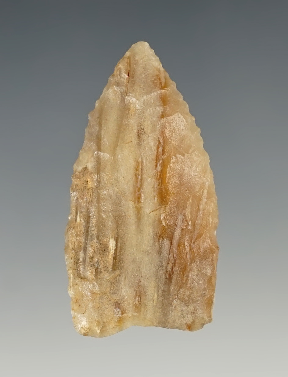 1 13/16" Plainview - beautiful Agatized Palmwood. Vernon Parish, Louisiana. Rogers COA.